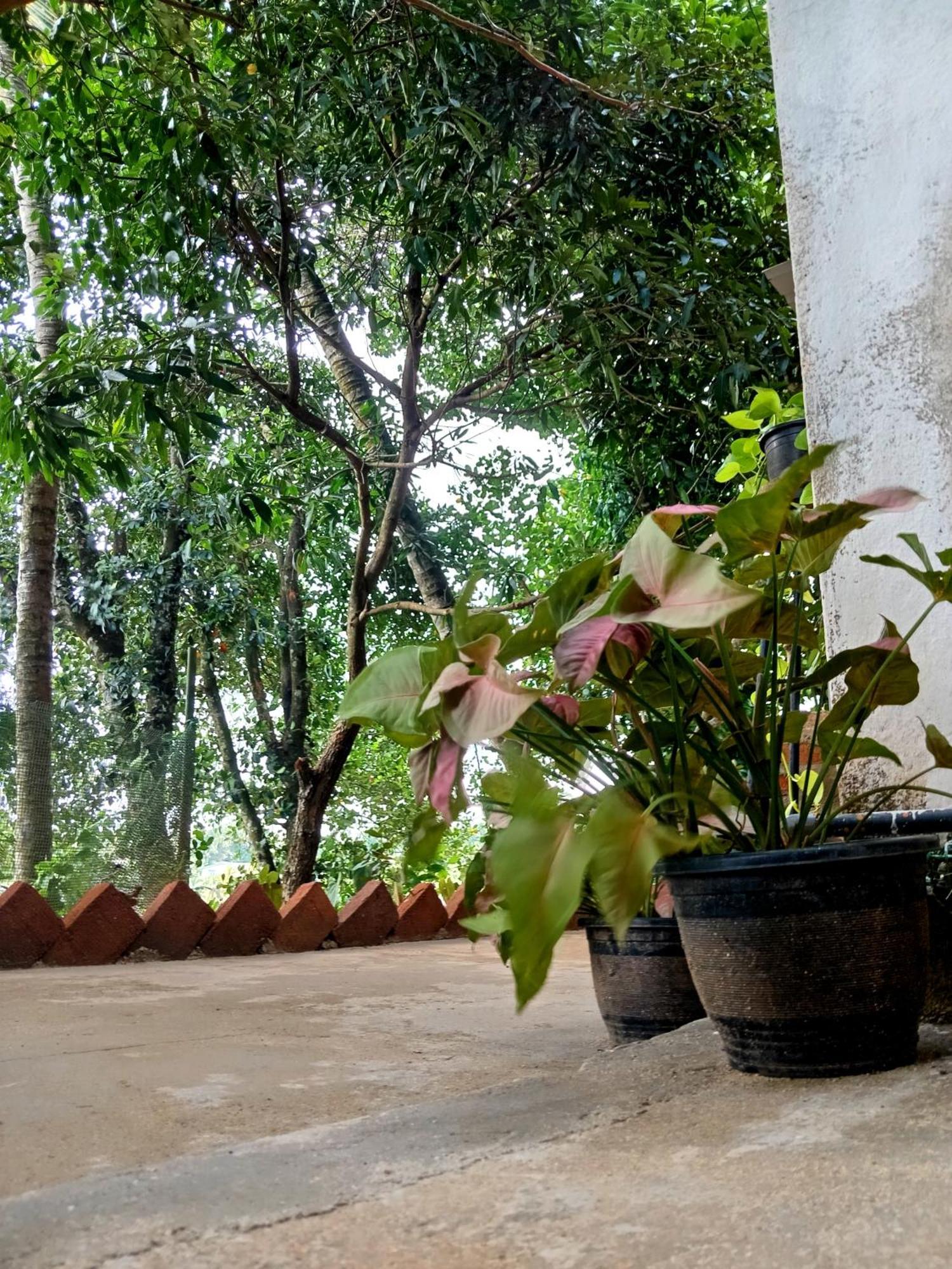 Fly Infinity - Home Stay Kandy Exteriör bild
