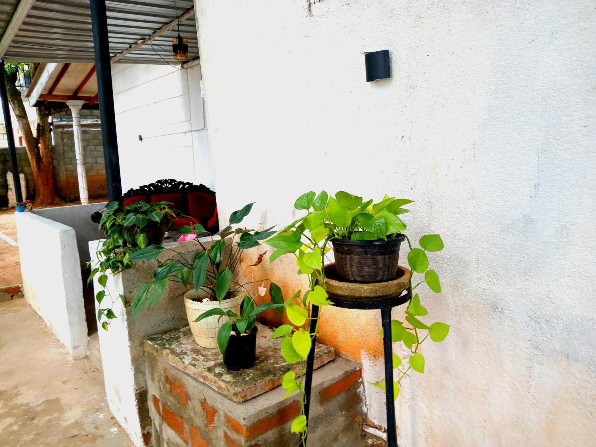 Fly Infinity - Home Stay Kandy Exteriör bild