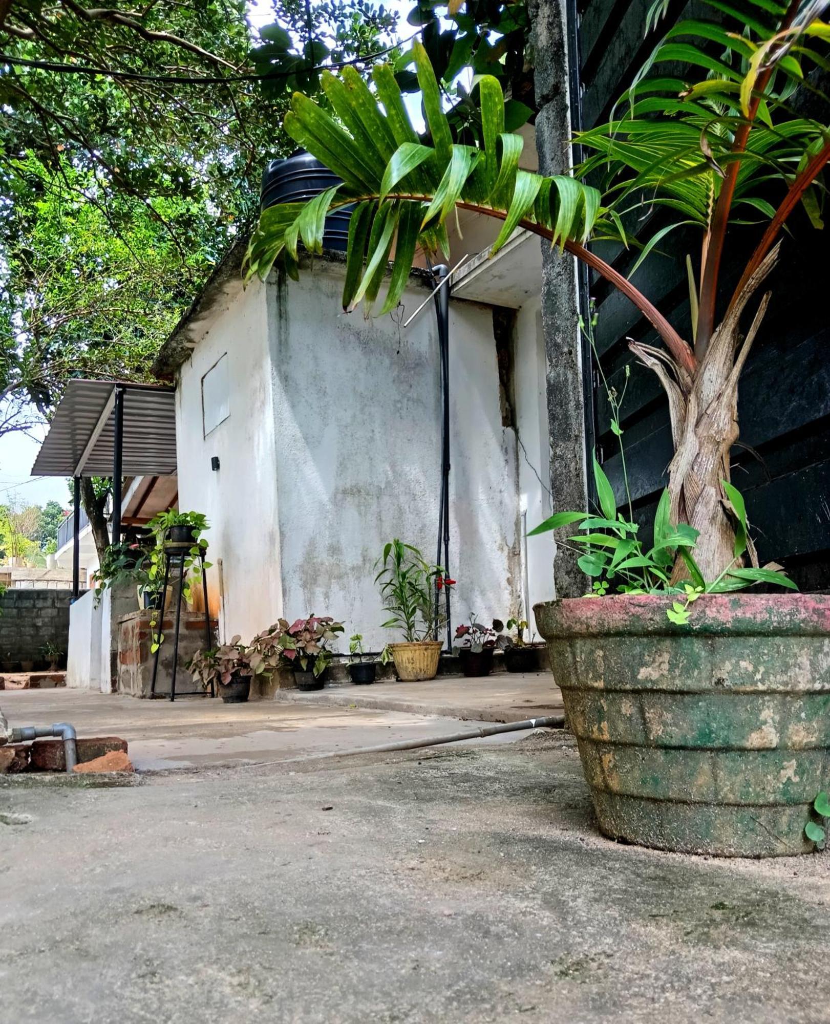 Fly Infinity - Home Stay Kandy Exteriör bild
