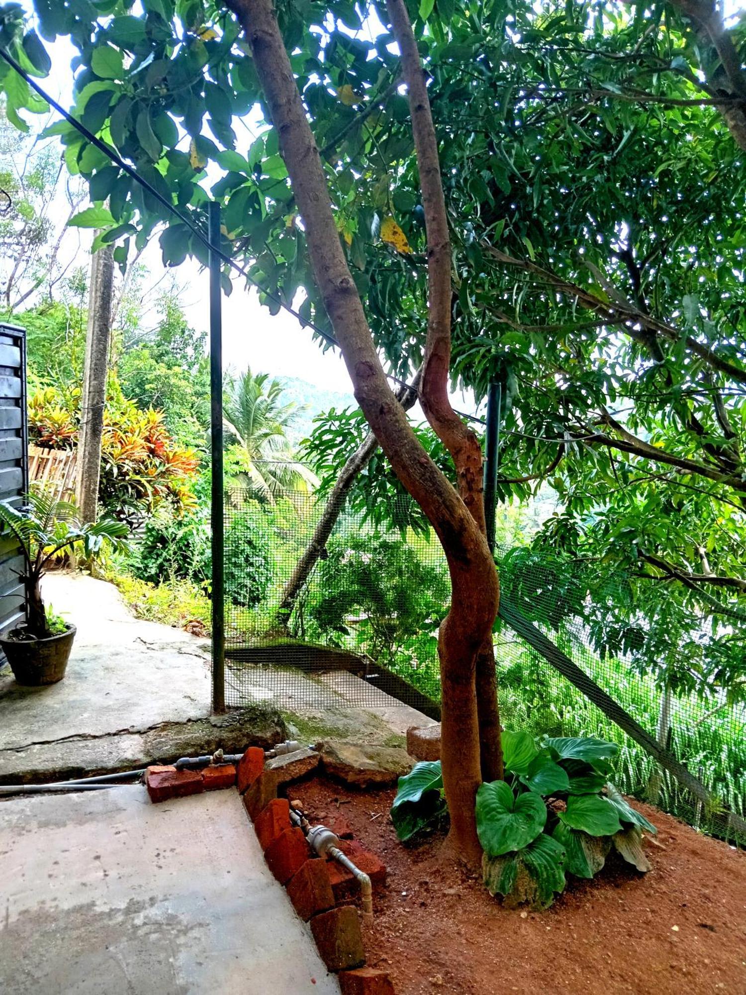 Fly Infinity - Home Stay Kandy Exteriör bild