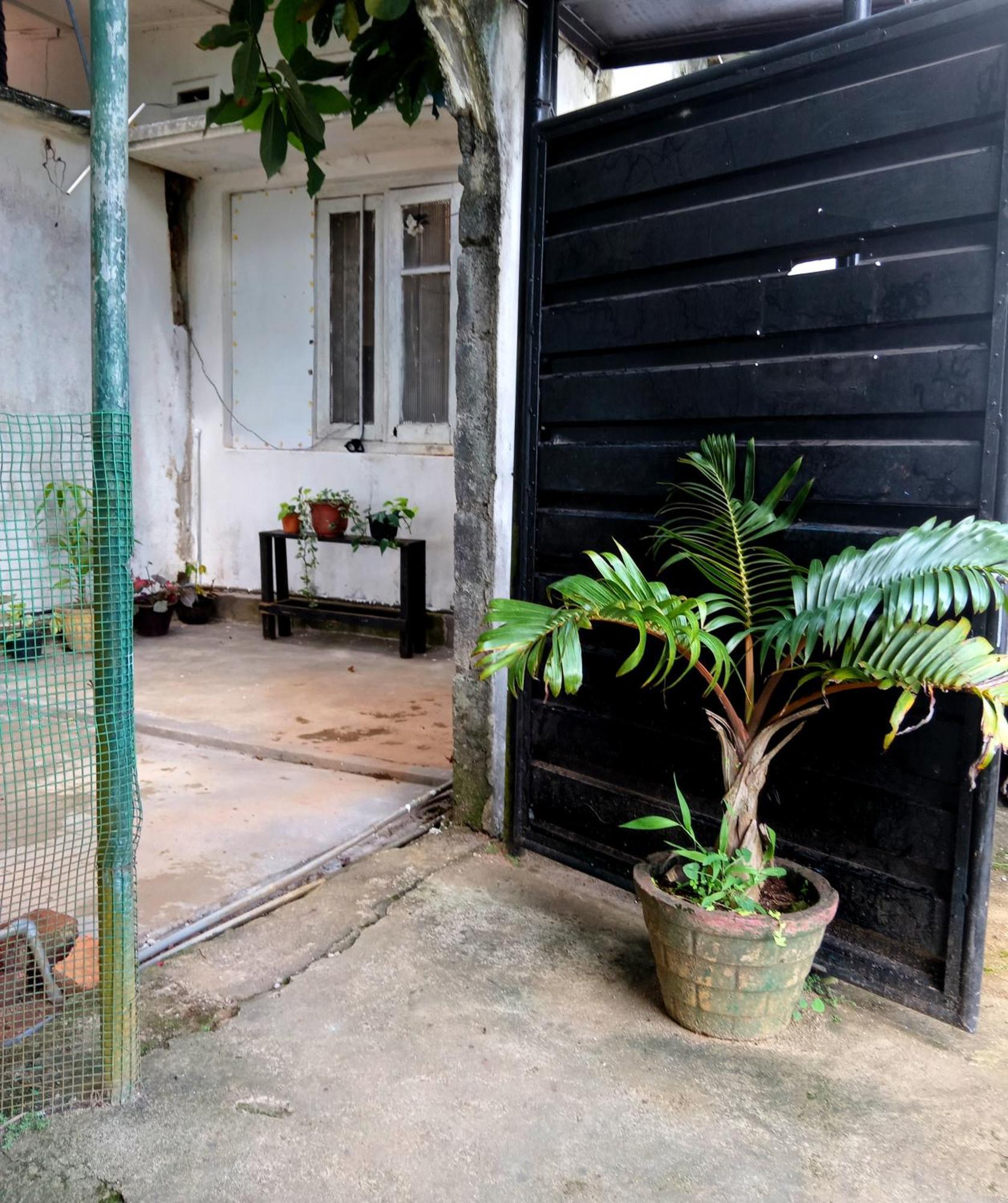 Fly Infinity - Home Stay Kandy Exteriör bild