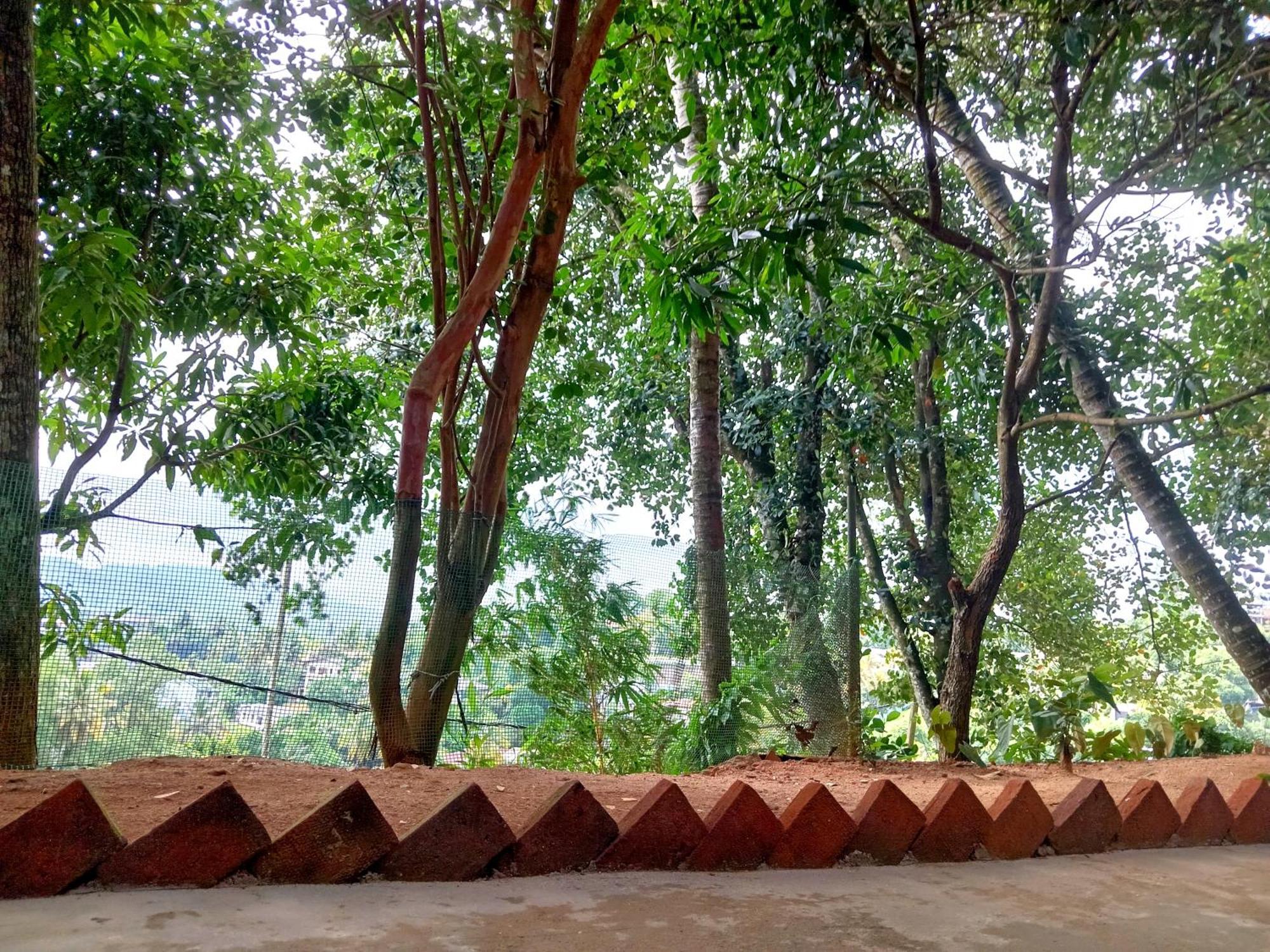 Fly Infinity - Home Stay Kandy Exteriör bild